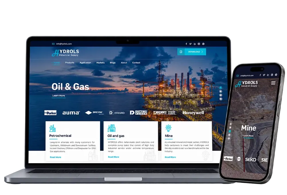 نمونه طراحی سایت HYDROLS (هلند)